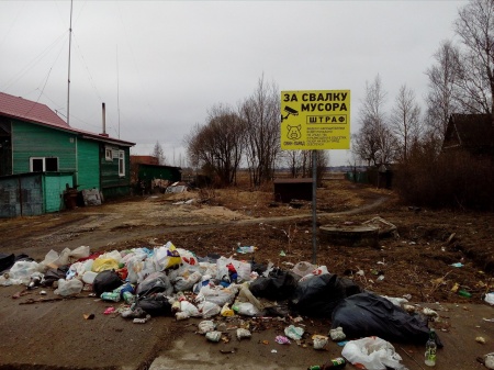 Нужны ли мусорные баки в частном секторе?