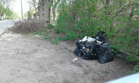 В Луге мусор лежит уже месяц