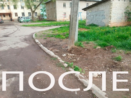 Мусор в Пикалево убрали за три дня