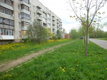 В Волхове завершилось голосование по выбору территории для благоустройства