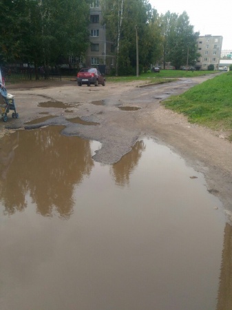 Тихвинцев не радует местная «Венеция»