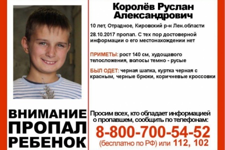 В Отрадном пропал 10-летний мальчик, возбуждено уголовное дело