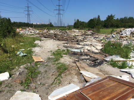 Промзона поселка Металлострой зарастает свалками