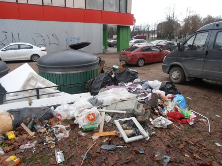 Мусорная свалка в центре Кингисеппа растет не по дням, а по часам