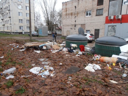 Мусорная свалка в центре Кингисеппа растет не по дням, а по часам